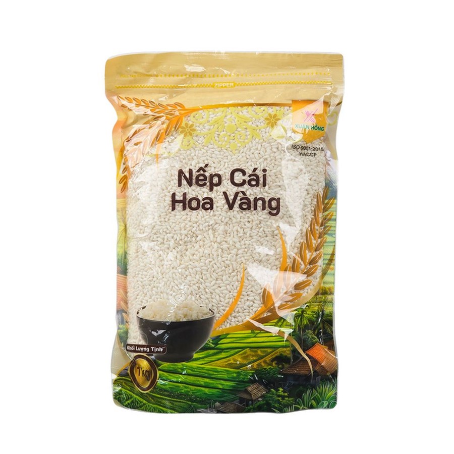 Nếp cái hoa vàng